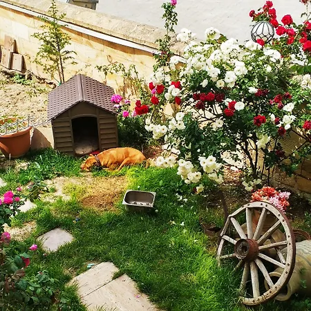 Otel Shoestring Stone House