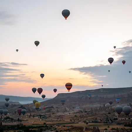 Shoestring Stone House Otel 3*