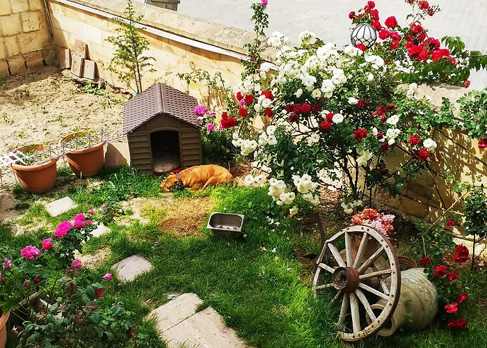 Otel Shoestring Stone House