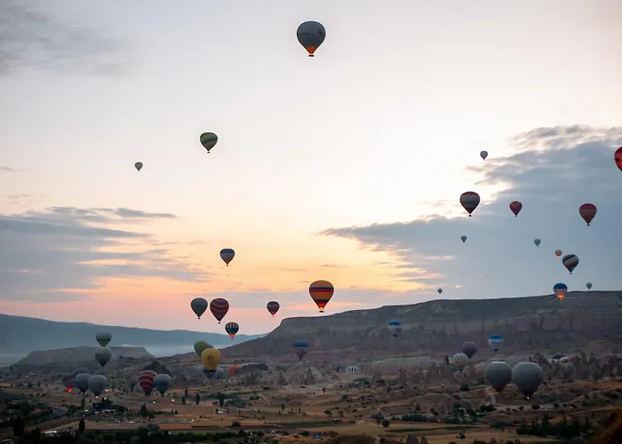 Shoestring Stone House Otel 3*